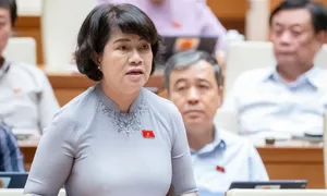 'Chính sách khuyến khích phát triển năng lượng mới chưa đột phá'